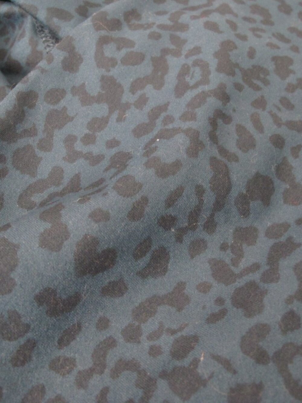 Like New - Evolution and Creation Leggings - Picture 5 of 7
